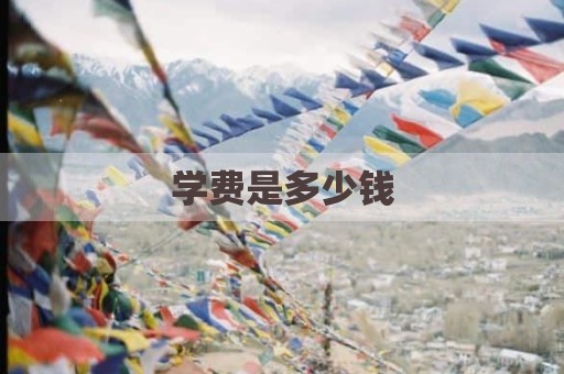学费是多少钱