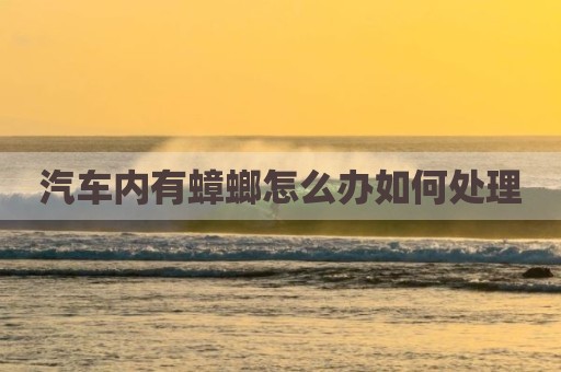 汽车内有蟑螂怎么办如何处理