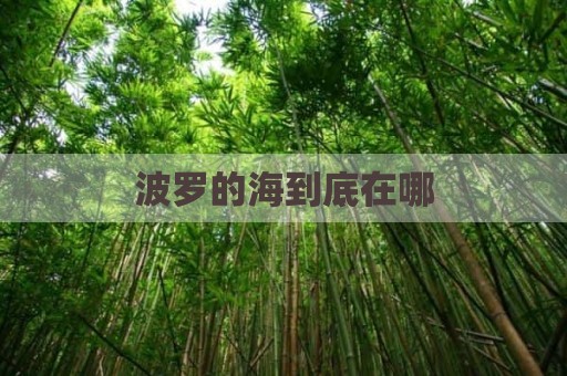 波罗的海到底在哪