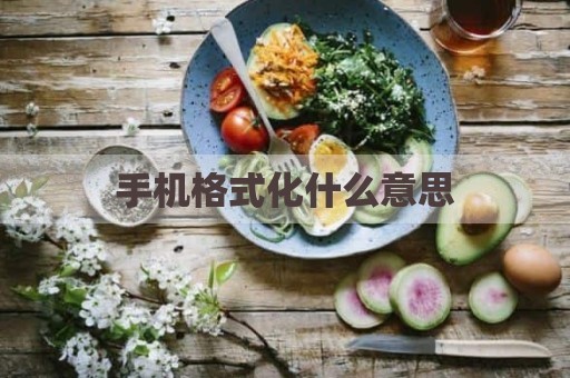 手机格式化什么意思