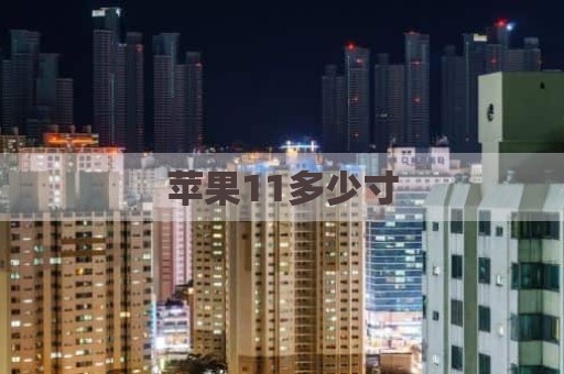 苹果11多少寸