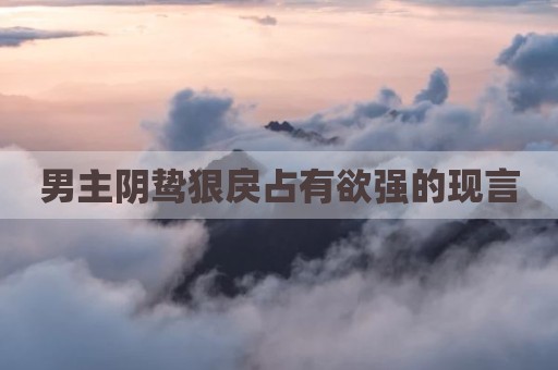 男主阴鸷狠戾占有欲强的现言