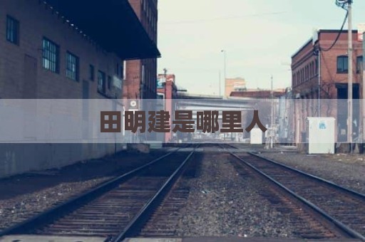 田明建是哪里人