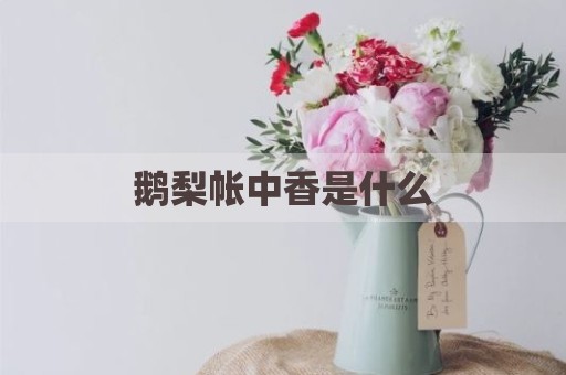 鹅梨帐中香是什么