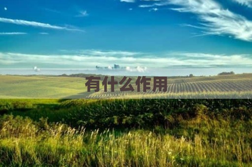 有什么作用
