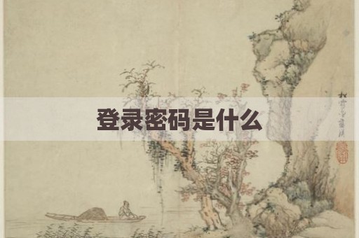 登录密码是什么