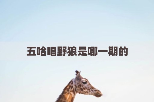 五哈唱野狼是哪一期的