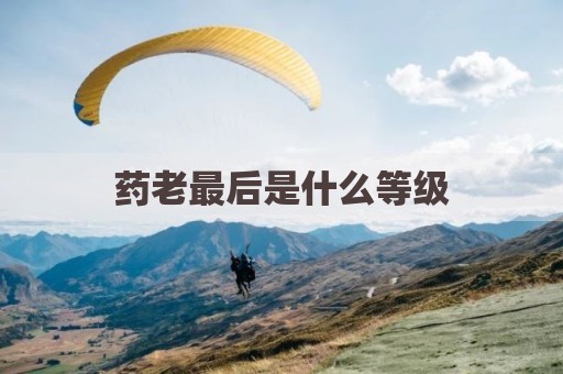 药老最后是什么等级