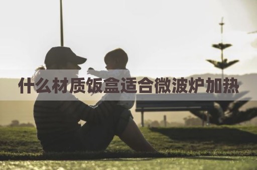 什么材质饭盒适合微波炉加热