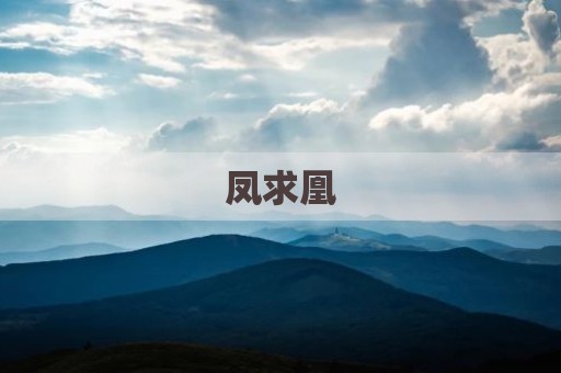 凤求凰
