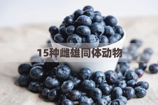 15种雌雄同体动物