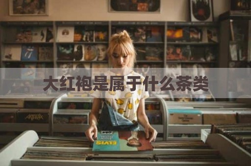 大红袍是属于什么茶类