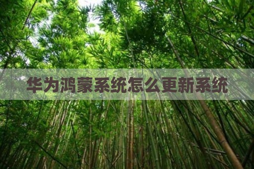 华为鸿蒙系统怎么更新系统