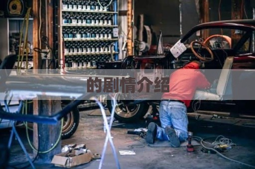 的剧情介绍
