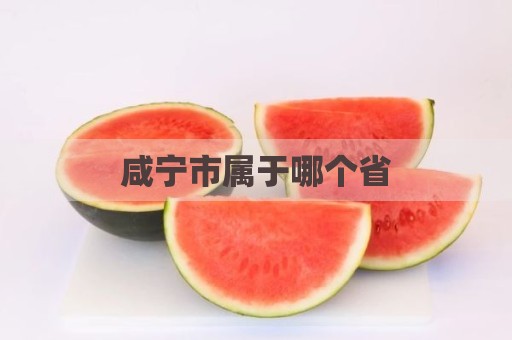 咸宁市属于哪个省