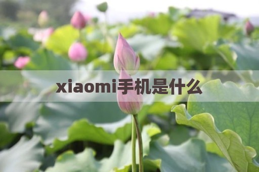 xiaomi手机是什么