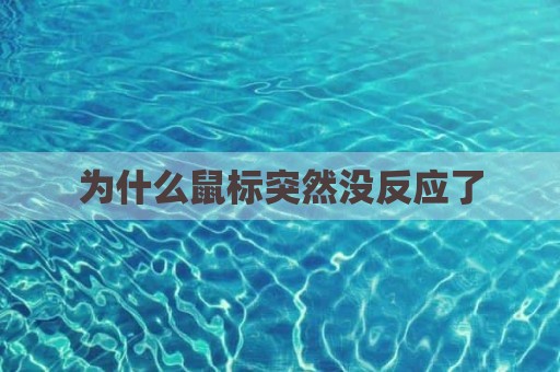 为什么鼠标突然没反应了