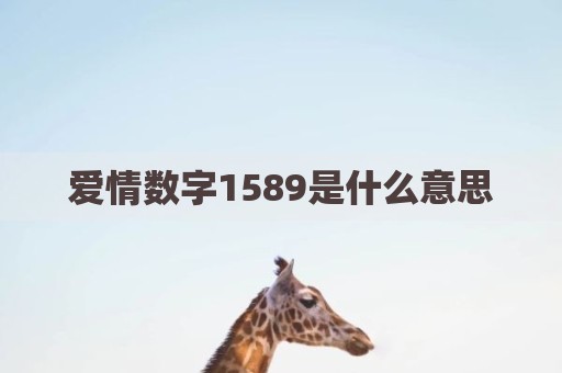 爱情数字1589是什么意思