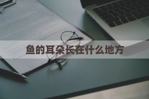 鱼的耳朵长在什么地方