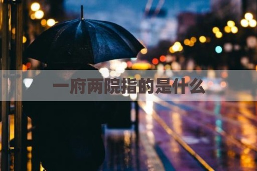 一府两院指的是什么
