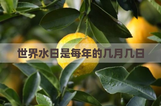 世界水日是每年的几月几日
