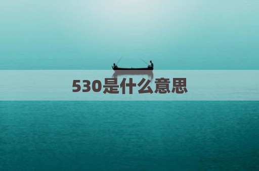 530是什么意思