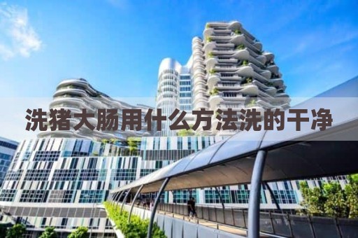 洗猪大肠用什么方法洗的干净