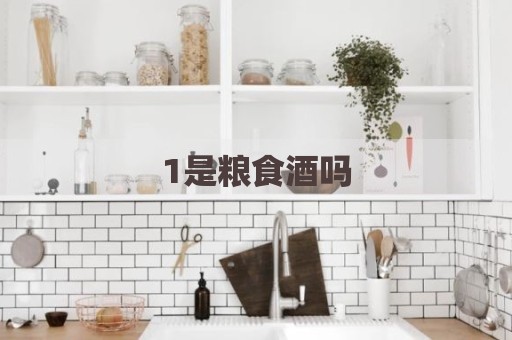1是粮食酒吗