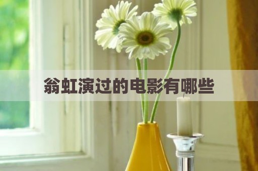 翁虹演过的电影有哪些