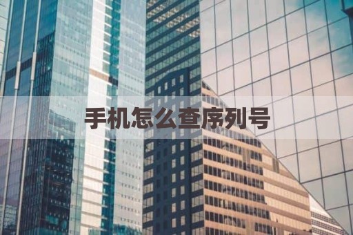 手机怎么查序列号