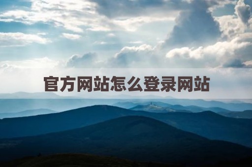 官方网站怎么登录网站