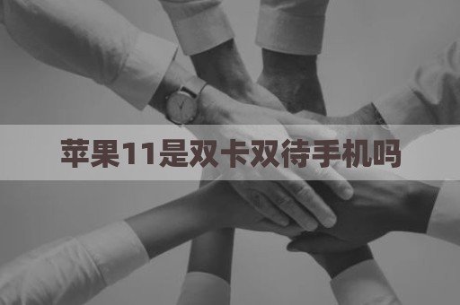 苹果11是双卡双待手机吗