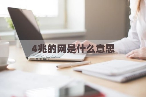 4兆的网是什么意思