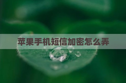 苹果手机短信加密怎么弄