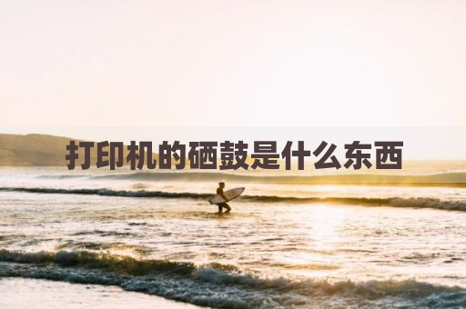 打印机的硒鼓是什么东西