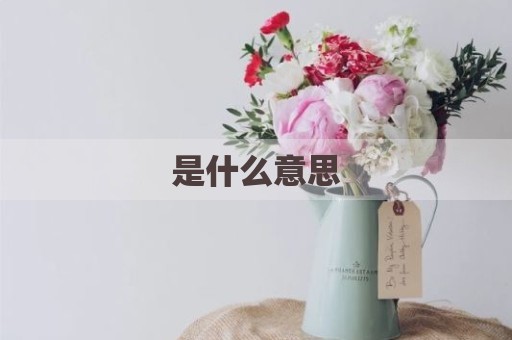 是什么意思