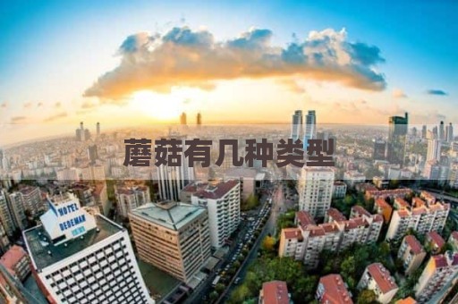 蘑菇有几种类型