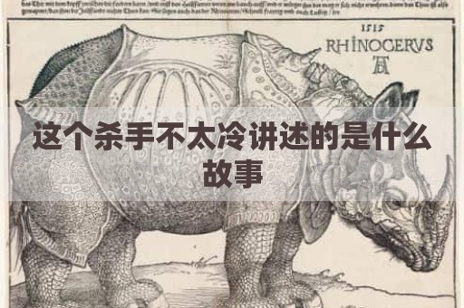 这个杀手不太冷讲述的是什么故事
