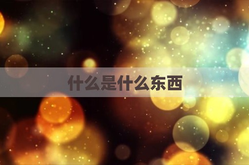 什么是什么东西