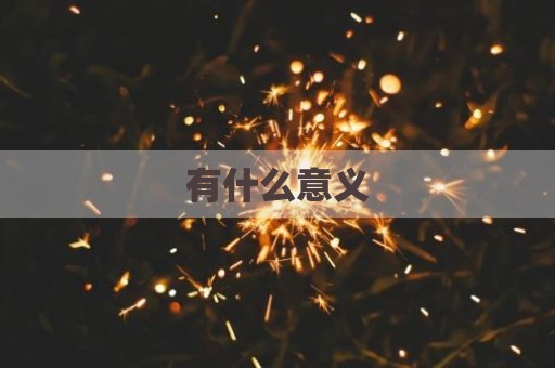 有什么意义