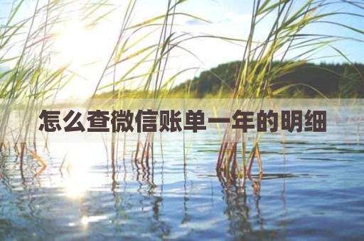 怎么查微信账单一年的明细