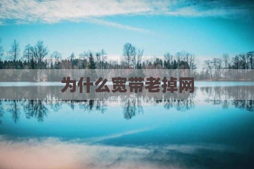 为什么宽带老掉网