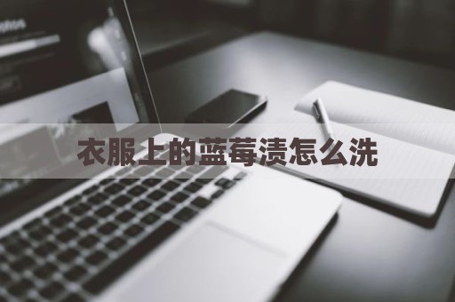 衣服上的蓝莓渍怎么洗