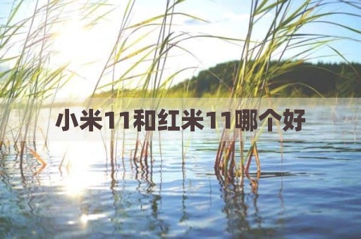 小米11和红米11哪个好