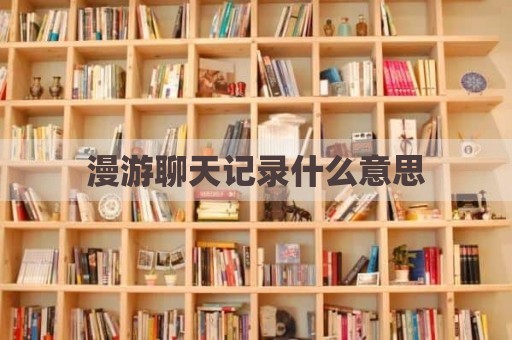 漫游聊天记录什么意思