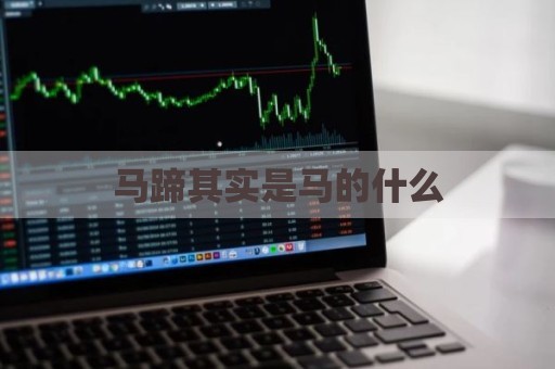 马蹄其实是马的什么