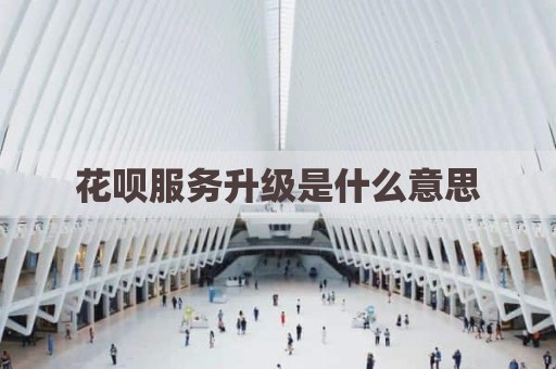 花呗服务升级是什么意思