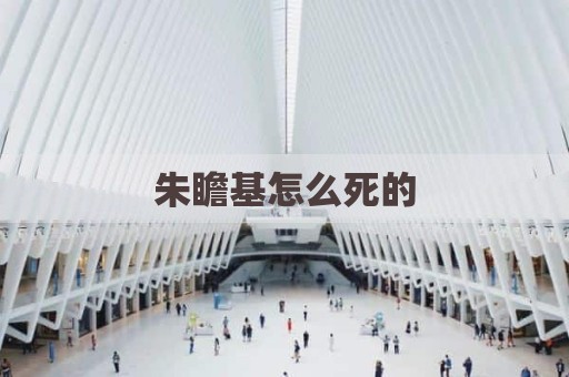 朱瞻基怎么死的