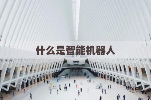 什么是智能机器人