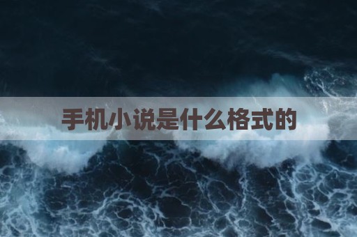 手机小说是什么格式的